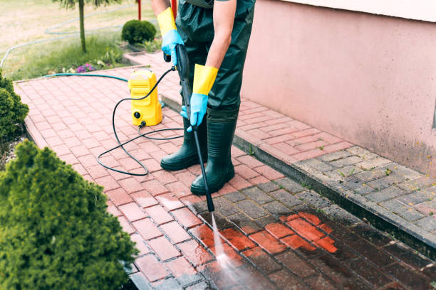 Best Roof Power Washing Services  in Hamilton, IN