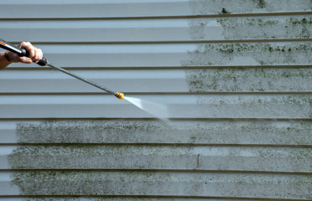 Best Fence Pressure Washing  in Hamilton, IN