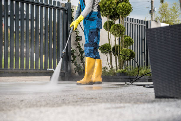 Best Pressure Washing Patio  in Hamilton, IN