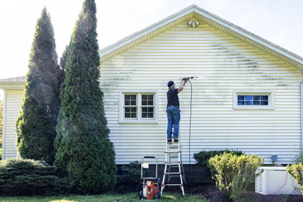 Best Sidewalk Pressure Washing  in Hamilton, IN