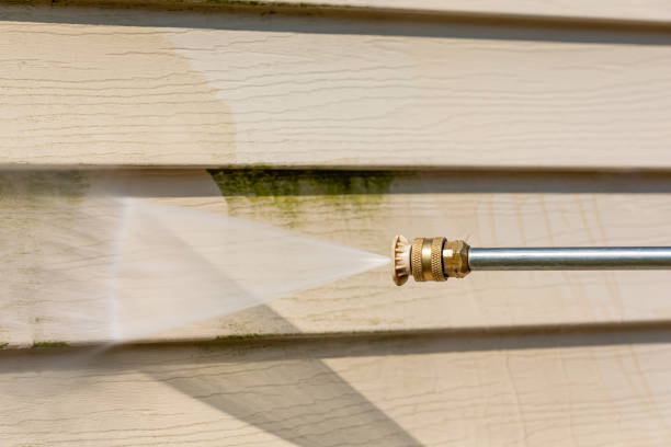 Best Exterior Home Cleaning  in Hamilton, IN